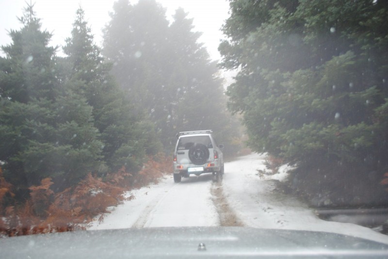 DSC_1076.jpg