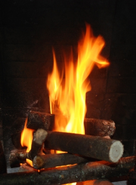 DSC_8612.JPG