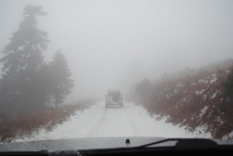 DSC_1093.jpg