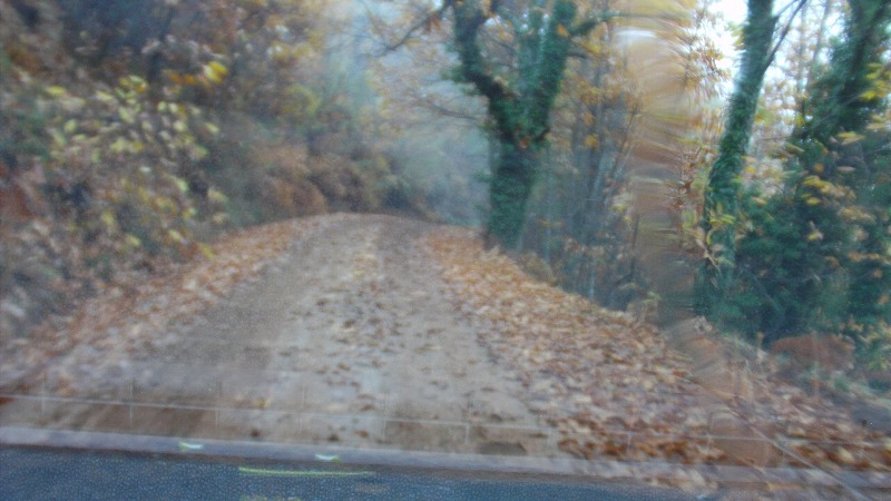 DSC00583.JPG