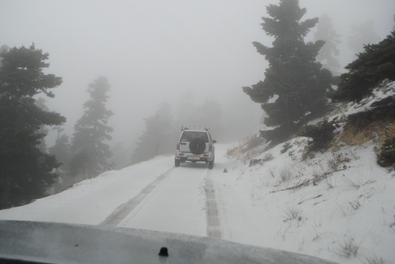 DSC_1119.jpg