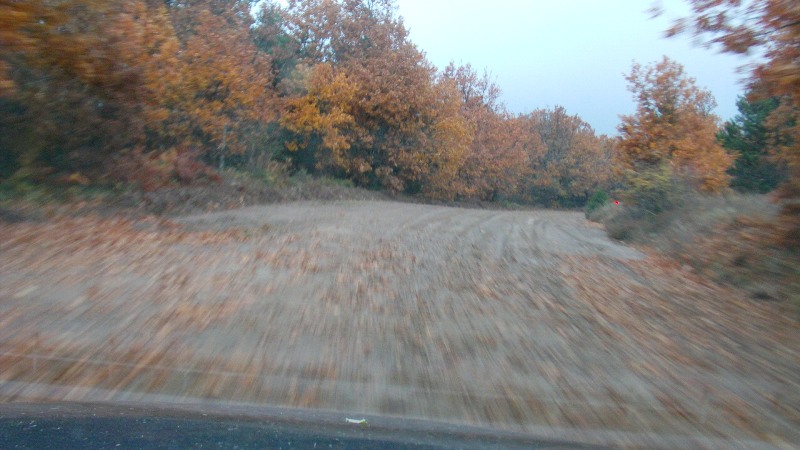 DSC00596.JPG