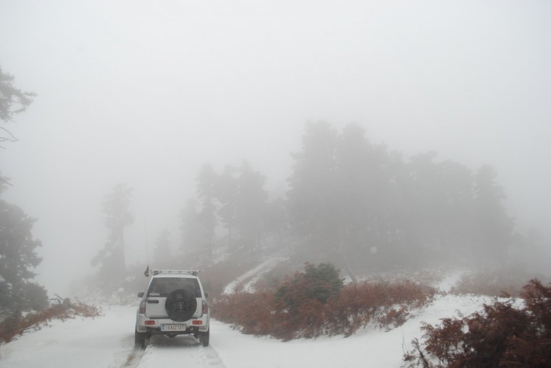 DSC_1124.jpg