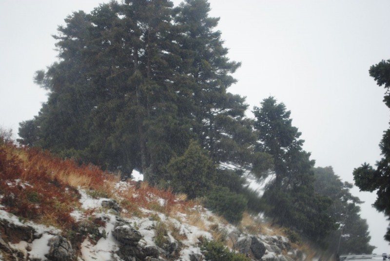 DSC_1140.jpg