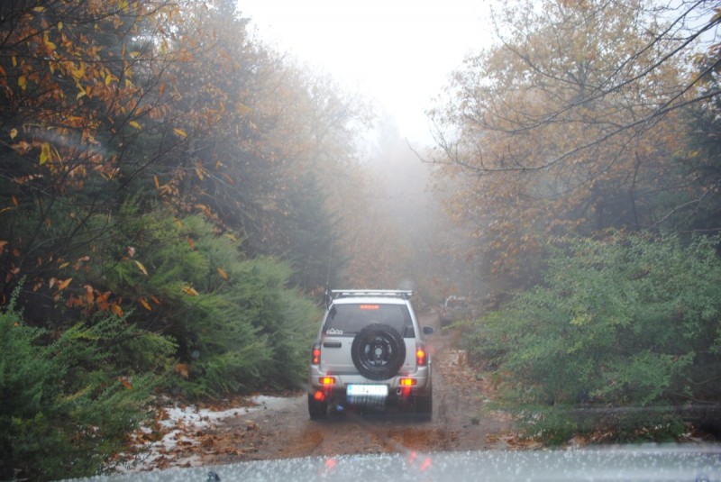DSC_1156.jpg