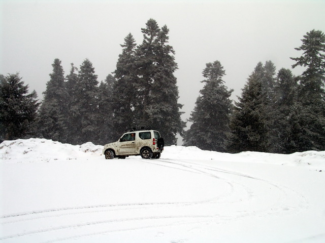 DSC00073.jpg