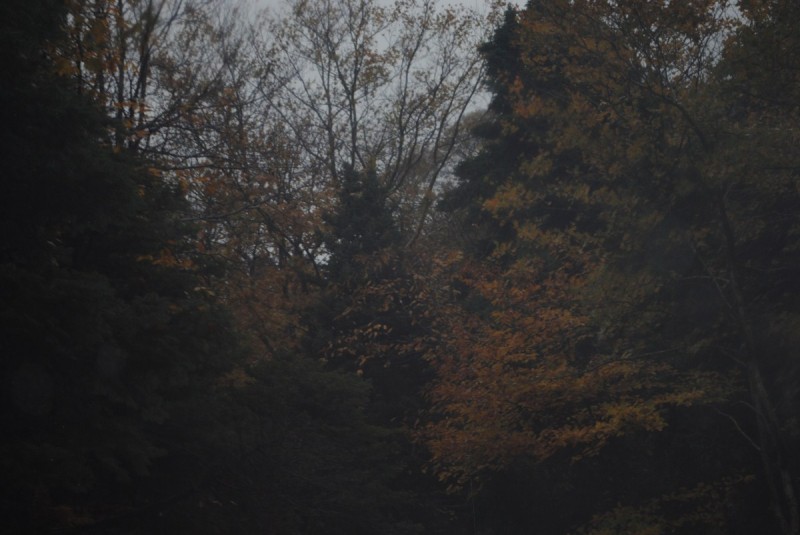 DSC_1164.jpg