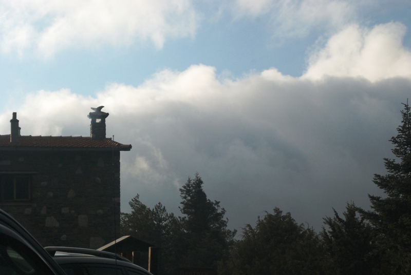 DSC_8640.JPG