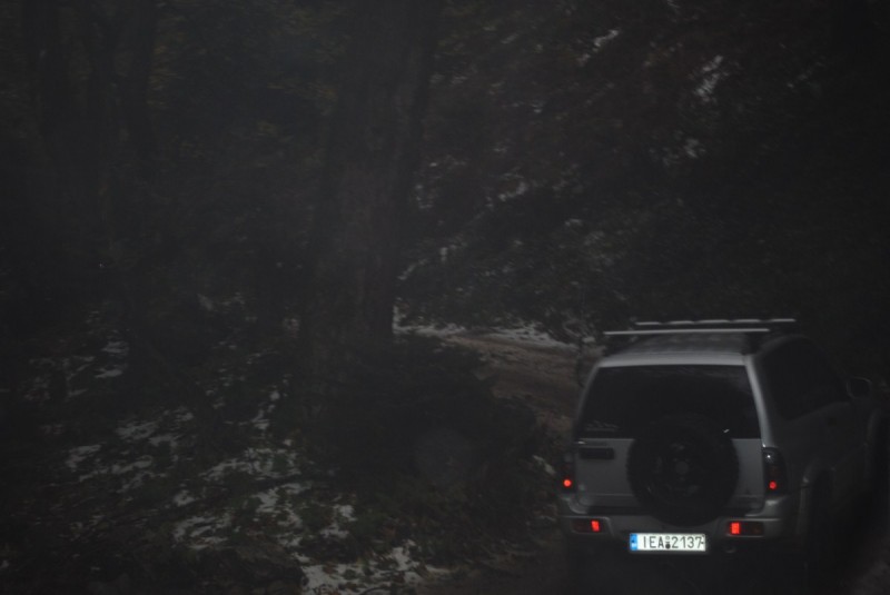 DSC_1171.jpg
