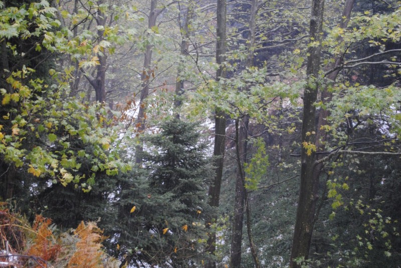 DSC_1192.jpg