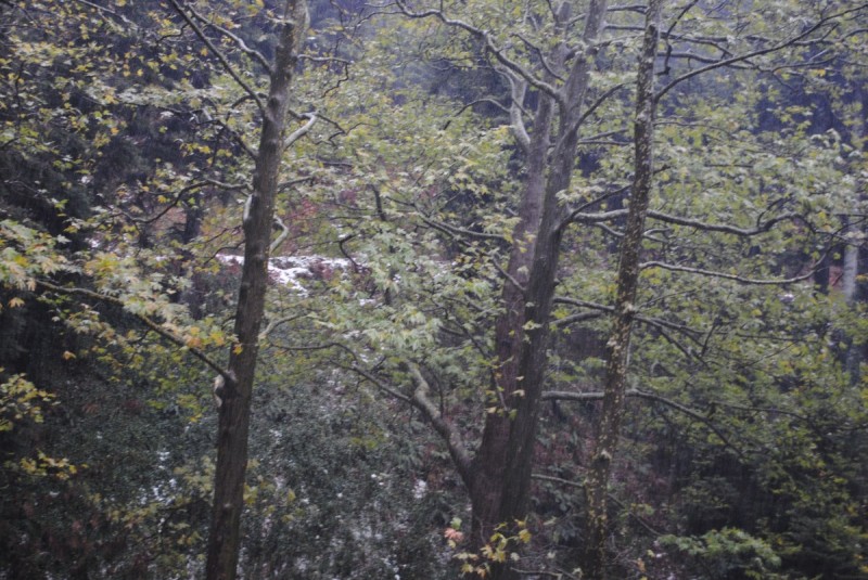 DSC_1193.jpg