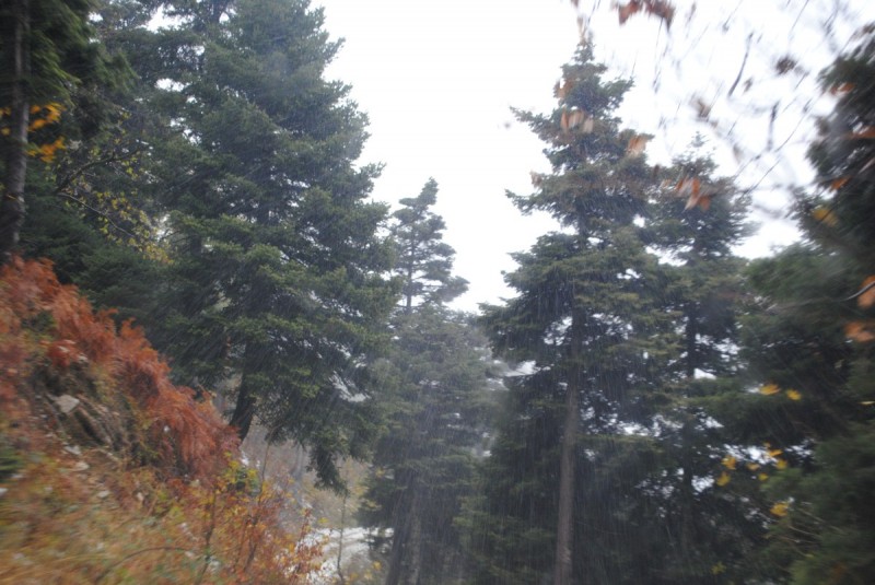 DSC_1196.jpg