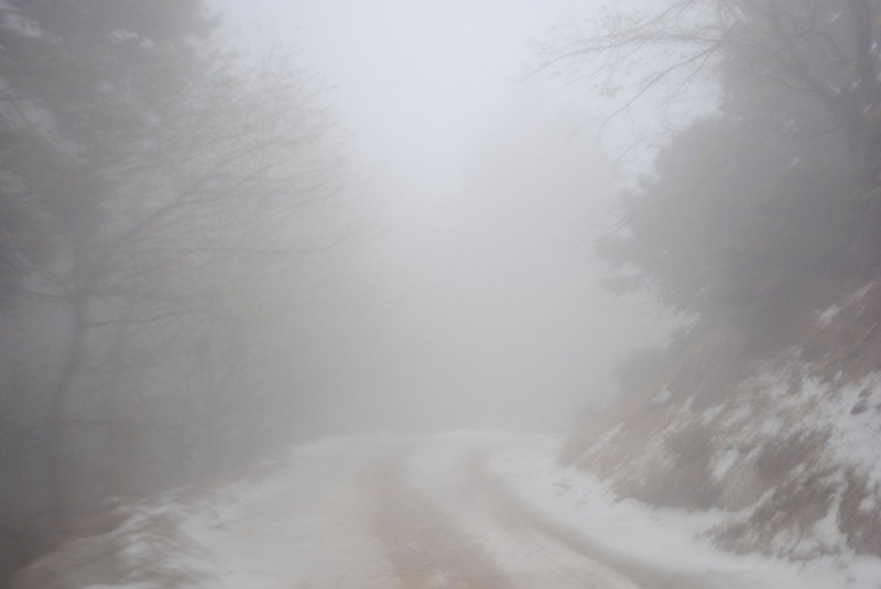 DSC_1212.jpg