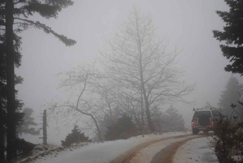 DSC_1223.jpg