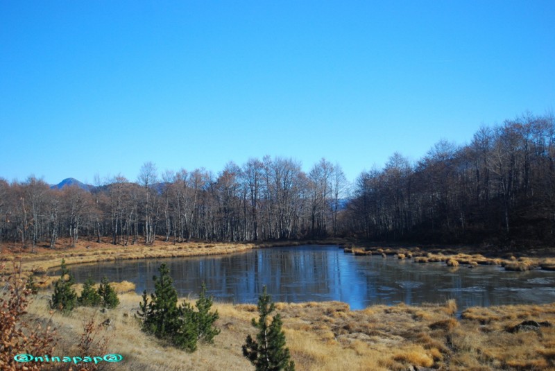 DSC_8969a.jpg