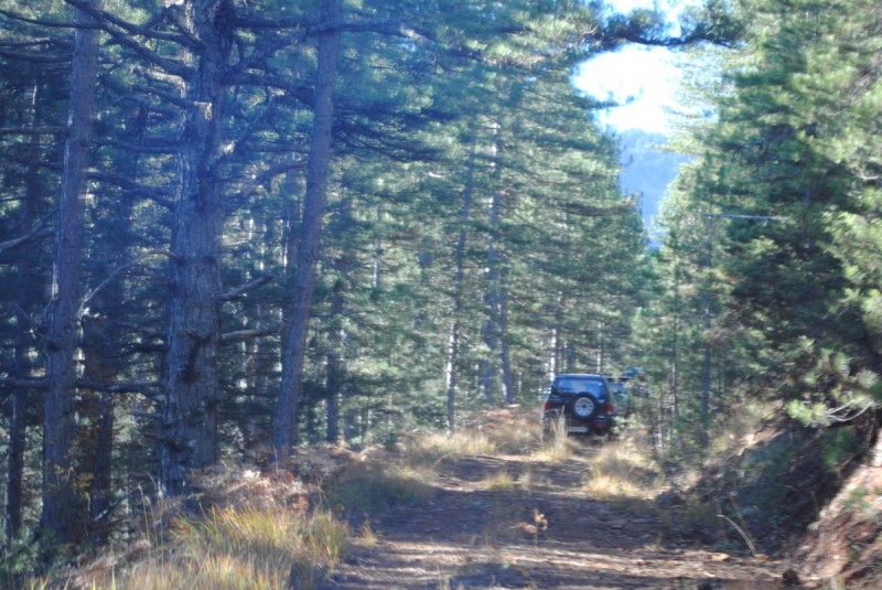 DSC_1963.jpg
