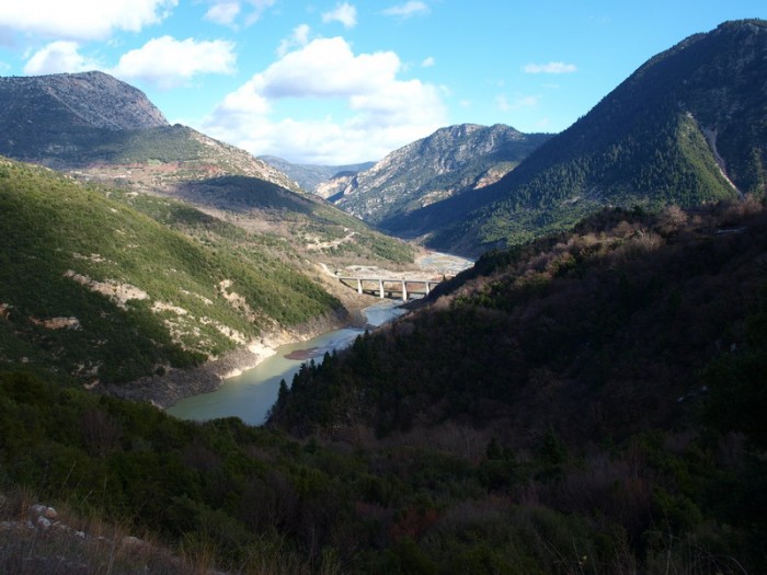 P1036257.jpg