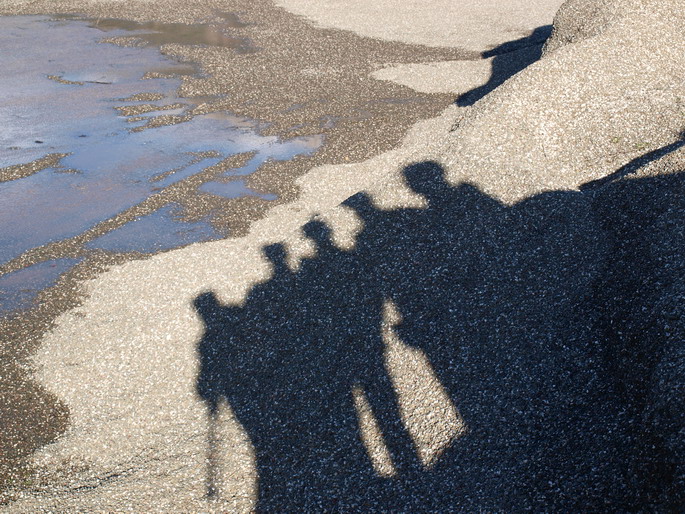 P1036273.jpg