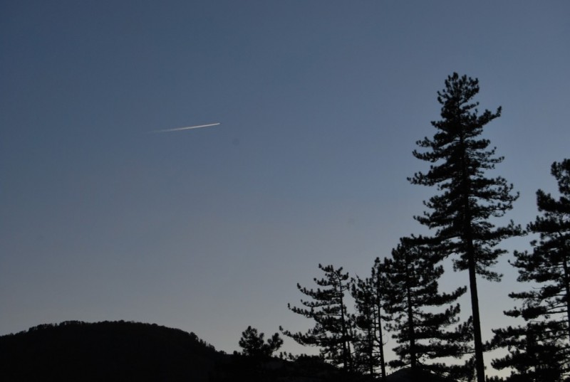 DSC_0026.jpg