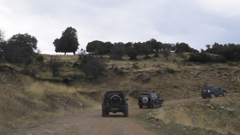 SANY0065.jpg