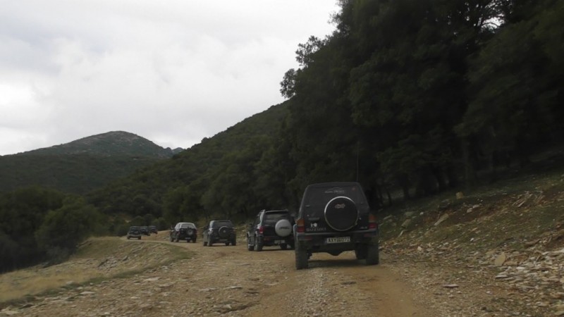 SANY0069.jpg