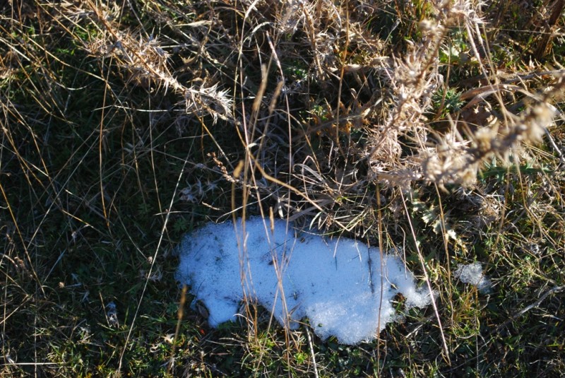 DSC_8756.JPG