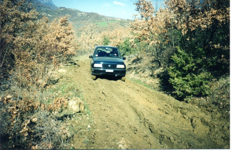 img009.jpg