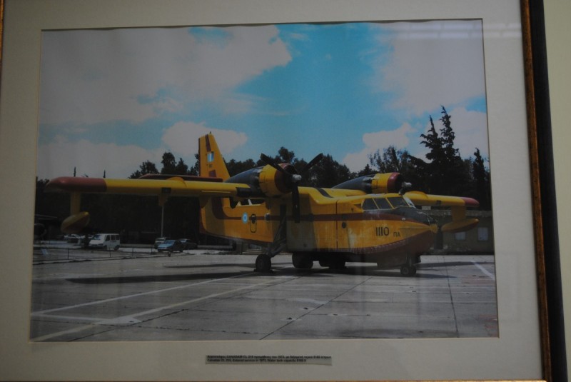 DSC_3118.jpg