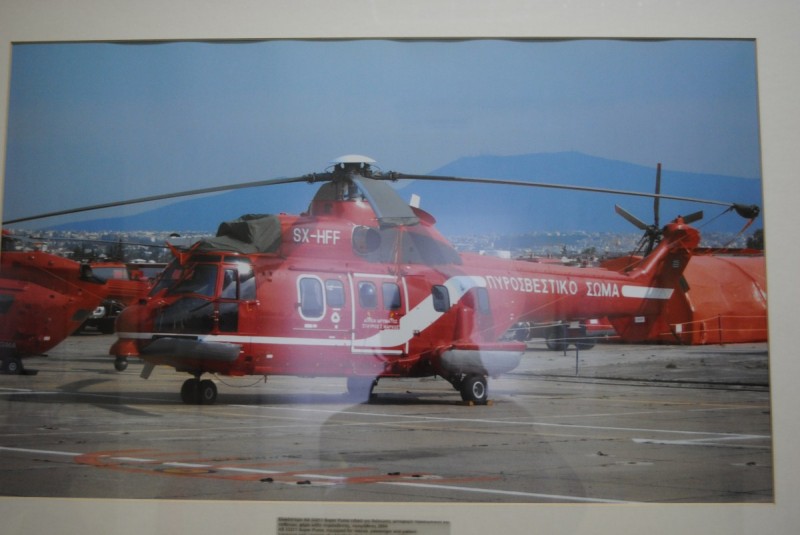 DSC_3123.jpg