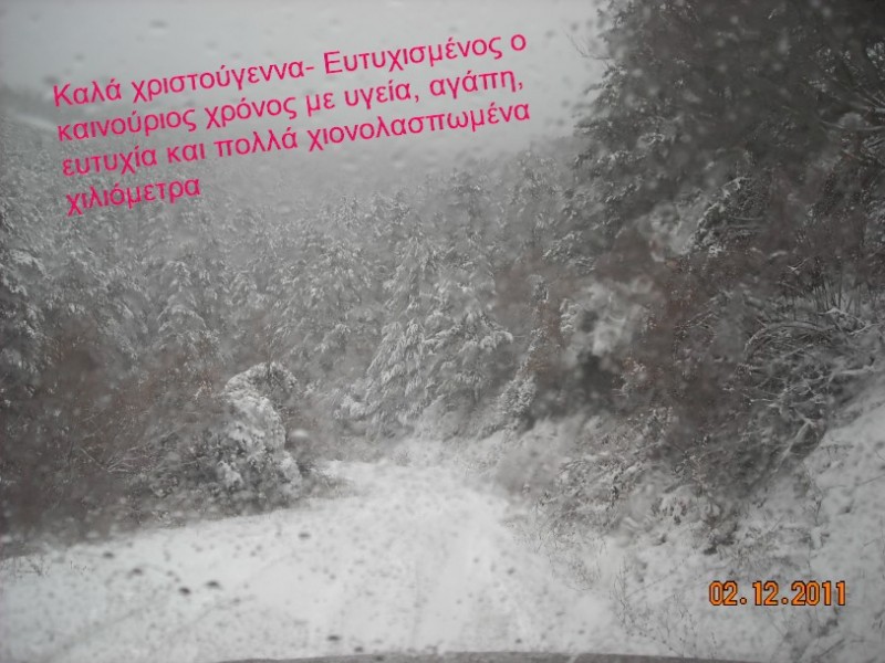 foto 101.jpg