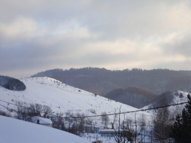 DSC01394.JPG