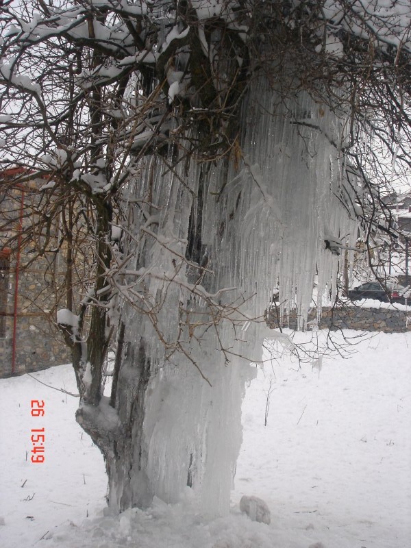 DSC03695.jpg