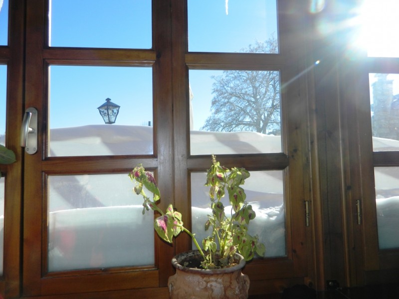 DSCN1574.JPG
