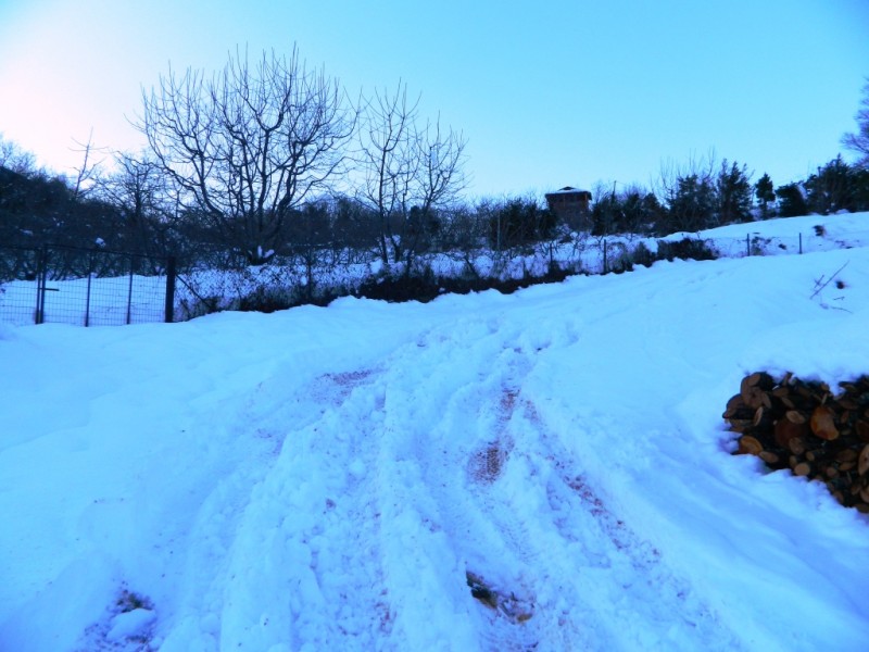 DSCN1611.JPG