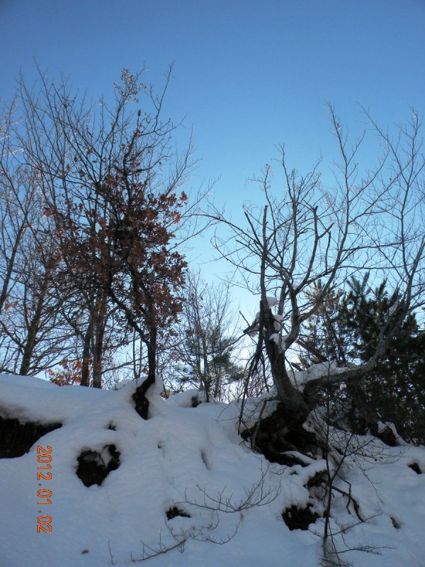 DSCN5214v.JPG