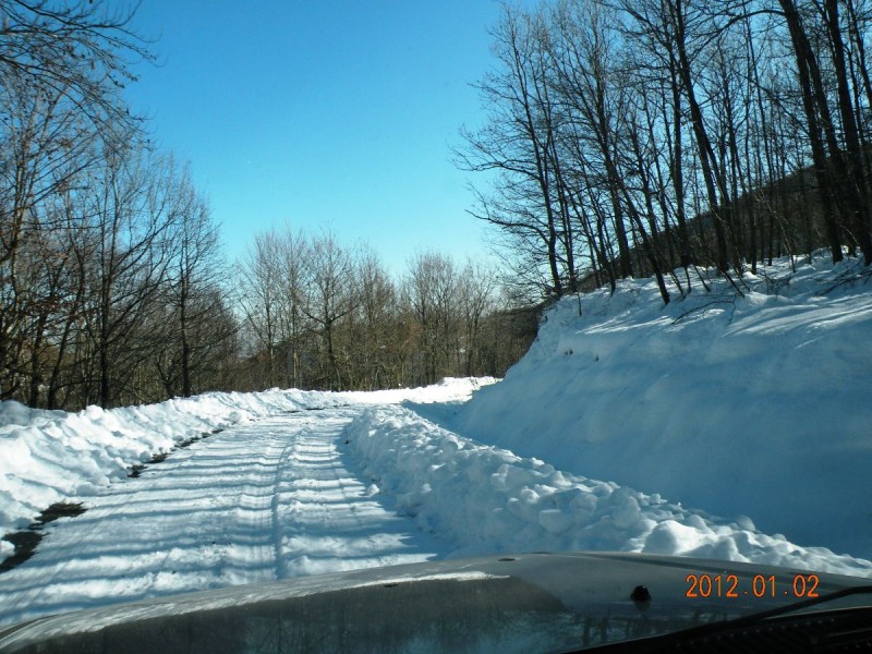 DSCN5215v.JPG