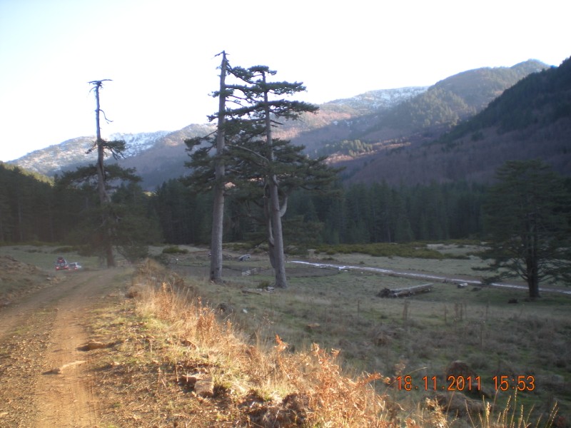 DSCN1056.jpg