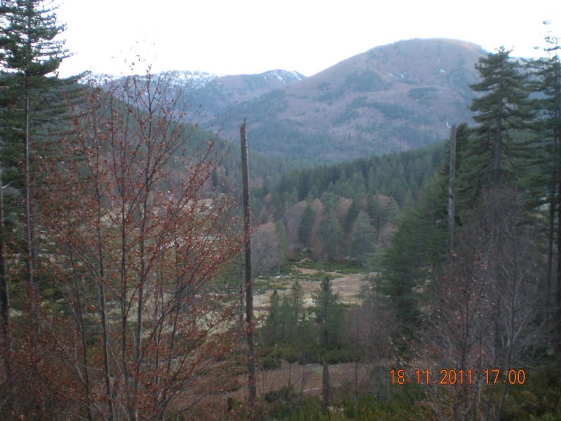 DSCN1059.jpg