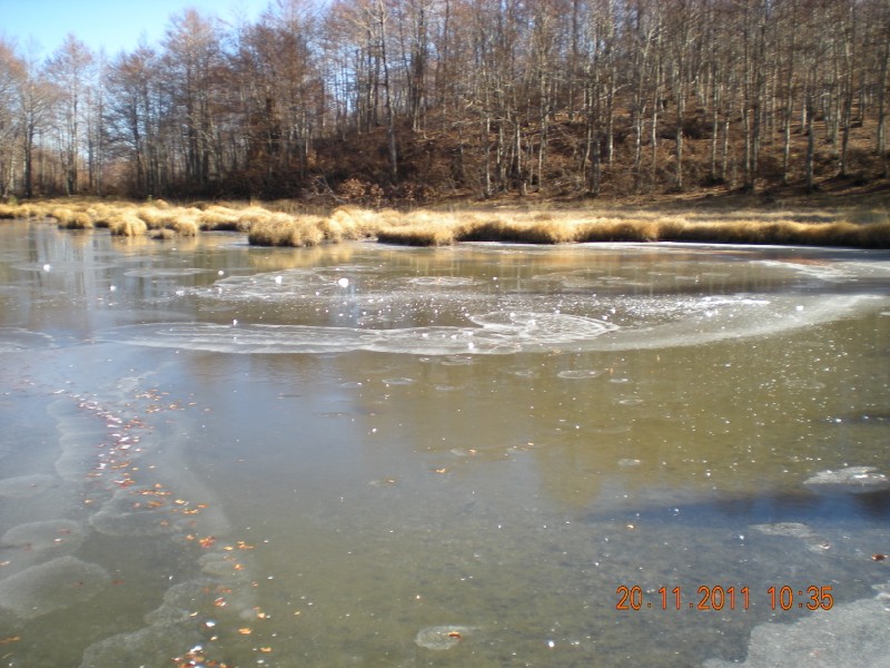 DSCN1080.jpg