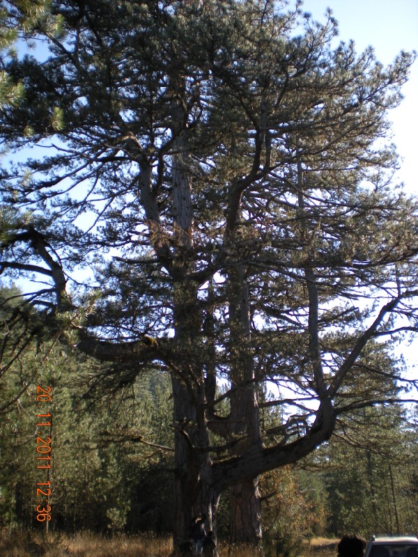 DSCN1097.jpg