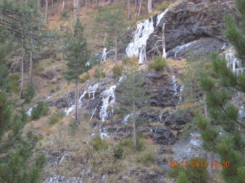 DSCN1100.jpg