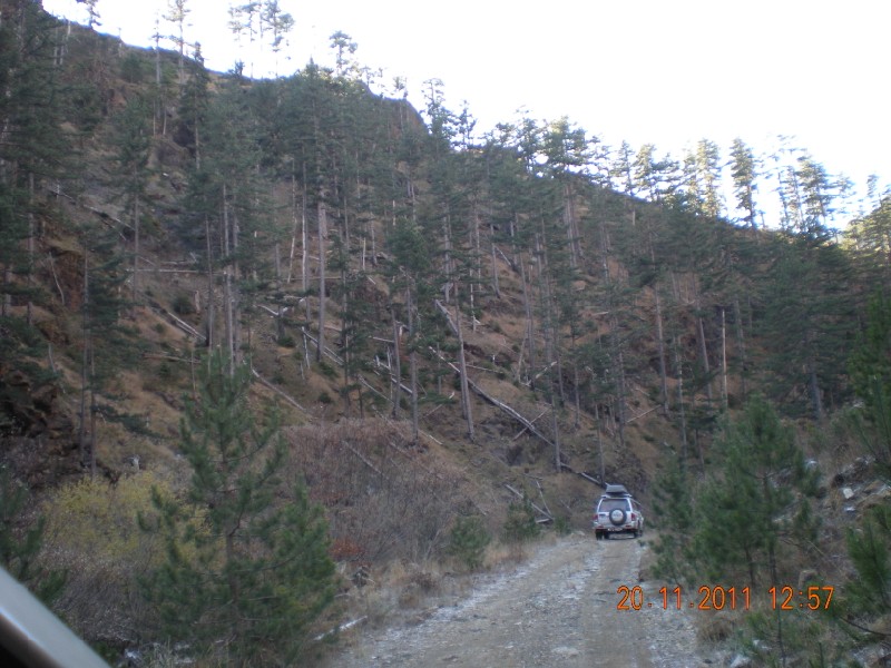 DSCN1103.jpg