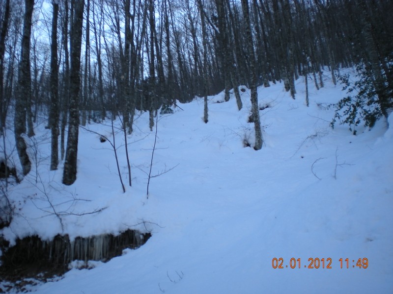 DSCN1117.jpg