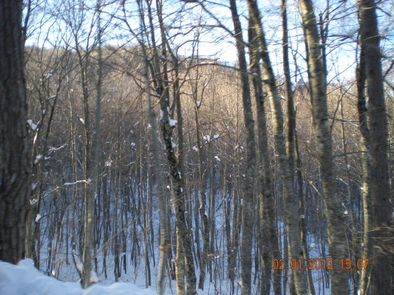 DSCN1122.jpg