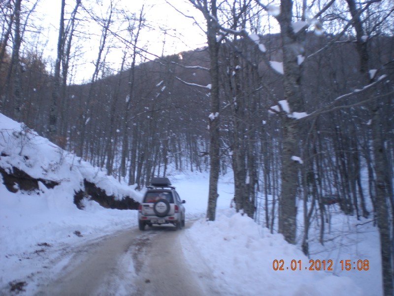DSCN1123.jpg