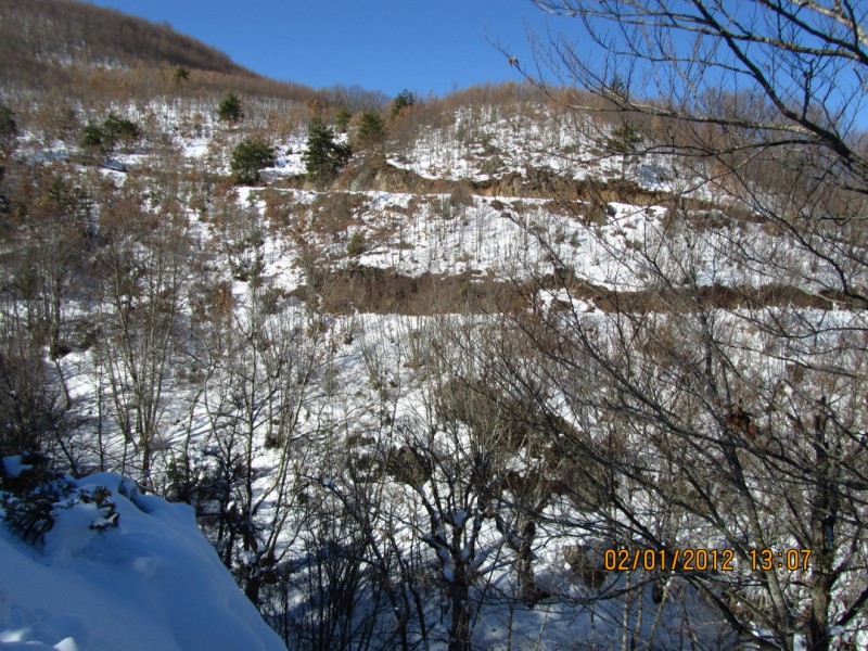 IMG_0859.jpg