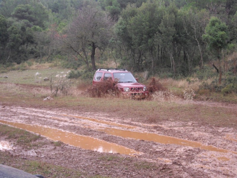 IMGP2219.jpg