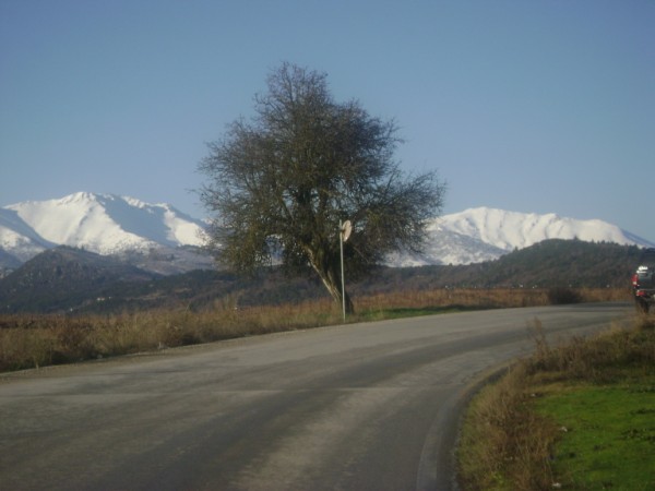 DSC00783.jpg