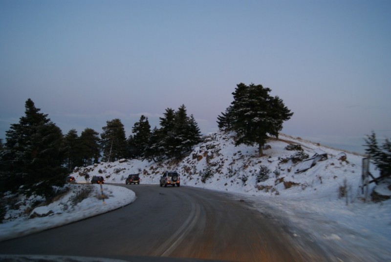 DSC03124.jpg