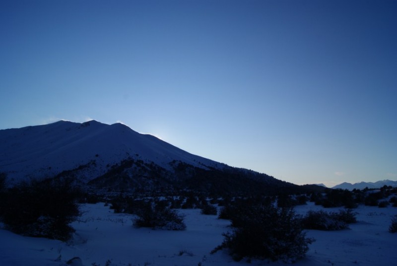 DSC03114.jpg